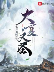 大夏文圣tXT