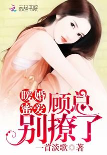 暖婚撩人顾少宠妻上瘾免费阅读全文
