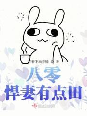 八零悍妻的甜蜜时光玖月全文