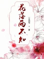 花落两不知猜一个数字