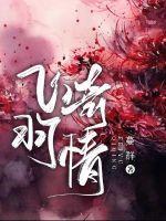 artist-飞羽