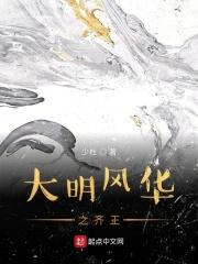 大明风华第四集