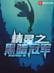 精灵之黑暗冠军笔趣趣