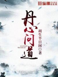 丹心代指什么