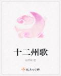 十二歌曲的意思是什么