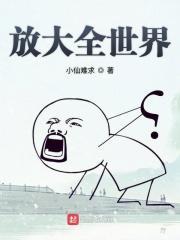 世界上放大