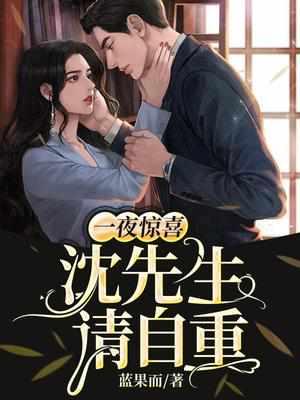 一夜惊喜沈少别来无恙