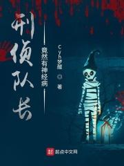 刑侦队长是什么职位
