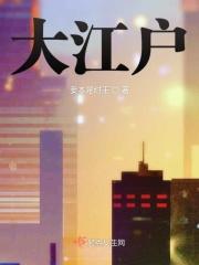 大江户之城破解版