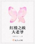 红楼赦大老爷穿越记