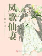 重生之凤哥传