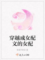 穿越成了女配那种