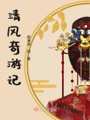 奇遇清风捕王后续