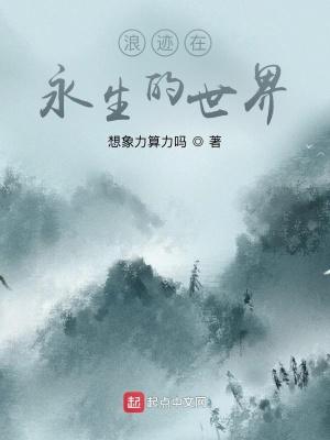 浪迹在永生的世界是什么歌