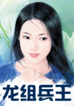 龙组兵王夏文杰全本