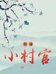 农村村官电视剧