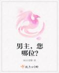 男主是谁呀