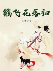 鹤归常带白云来是什么意思