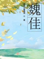 魏佳艺敬以后歌词