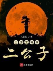 三国之韩家二公子阅读