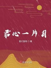 一片君心在玉壶