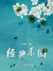 233乐园经典版