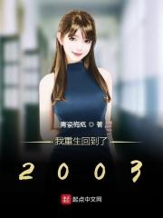 重生回2003