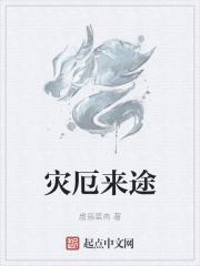 灾厄boss攻略