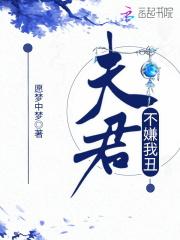 夫君不傻免费阅读