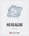 棱镜百科