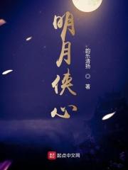 侠客明月解说