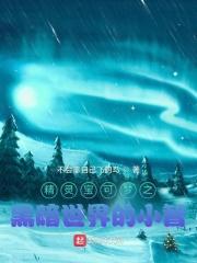 神奇宝贝之黑暗世界