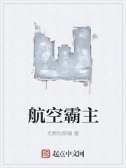 航空霸业吧