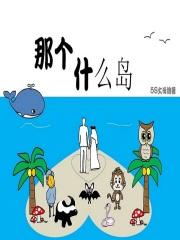 什么岛啊