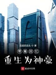 带着记忆重生到巨星女神的演唱会