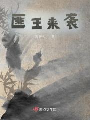 匪王电视剧剧情介绍