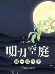 明月如皓什么意思