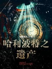 哈利波特之宝藏