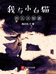 我与小猫之间的故事400字作文