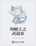 海贼王之武侠