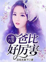 陶宝司冥寒最新全部章节