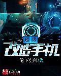 有改装手机的吗