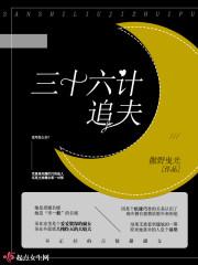 三十六计2