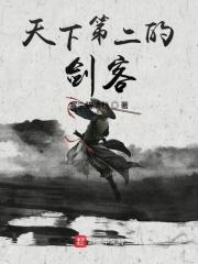 天下第一剑客电视剧