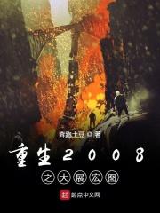 重生之2008排行榜