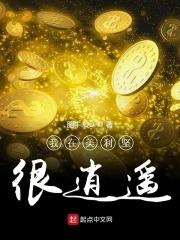 我在美利坚很逍遥txt