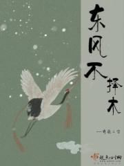 东风不解