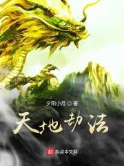 天地劫法师套给谁