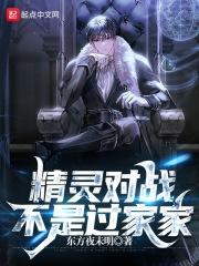 精灵对战的
