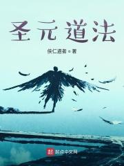 圣元所有系列